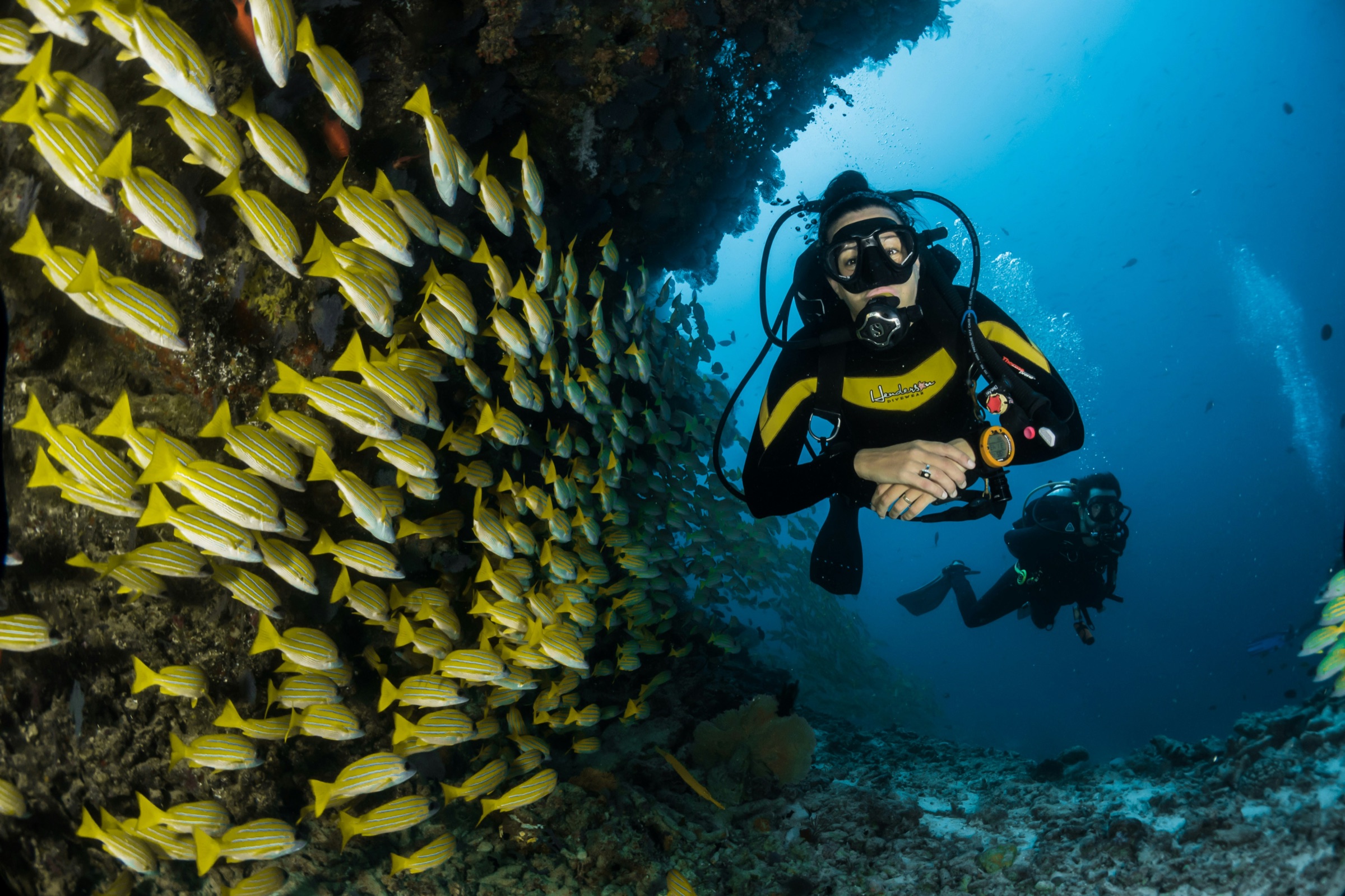 Plongée sous-marine dans les eaux de La Réunion